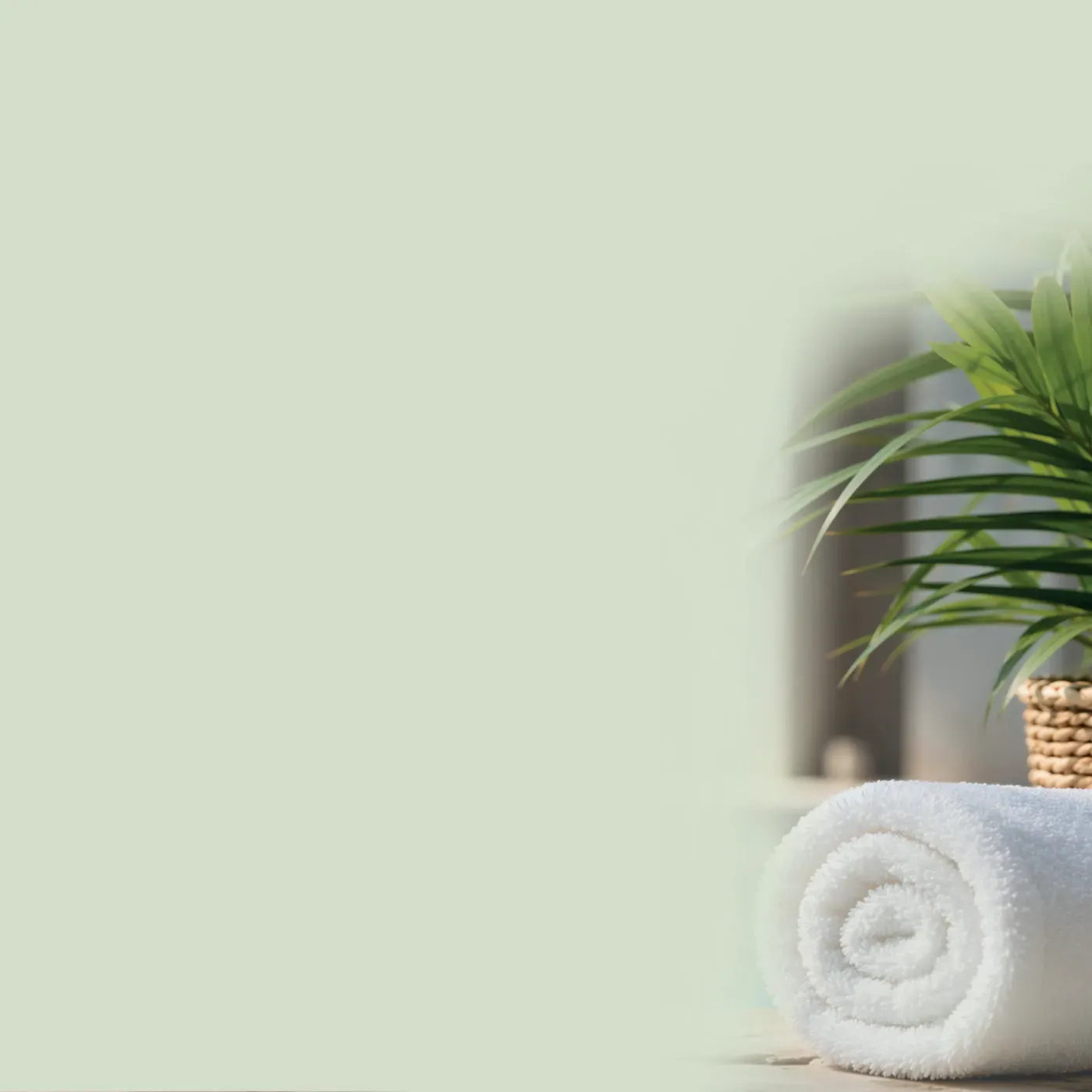 Rolled towel and plant in a calm spa setting, Wellbeing & Lifestyle at Pan Pharmacy